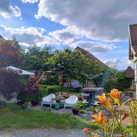 Minicamping Und B&B Apartment Hintergarten Niederorschel 外观 照片